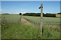 Laxton Lodge footpath