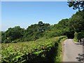 Tyn y Coad Road, Pentyrch