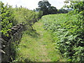 Footpath from Thorpes to Denby Dale