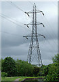 Electricity pylon at Milton, Stoke-on-Trent