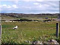 The runway at Coll Aerodrome