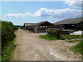 Shapwick, barns