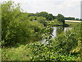 River Ouse at Beningbrough