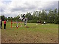 171st Omagh Annual Show (15)