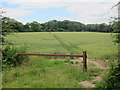 Field off Valley Road