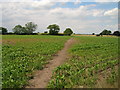 Footpath over fields towards Raskelf