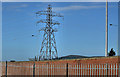 Pylon and power lines, south west Belfast (1)