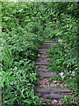 Disused railway track bed near Milton, Stoke-on-Trent