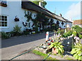 Row of Thatched Cottages, Branscombe