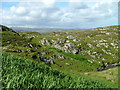 Moorland and rock