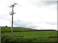 NY3023 : Electricity pole at Naddle by Stephen Craven