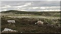 NC8763 : Peat moorland near Portskerra by Greg Fitchett