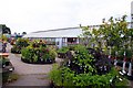 Greenhouse at the Waddesdon Manor Plant Centre