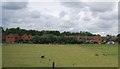 Houses on the edge of Cheddington