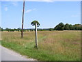 Footpath to the Causeway