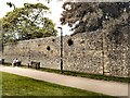 City Wall - Winchester