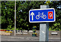 J1560 : National Cycle Network sign, Moira by Albert Bridge