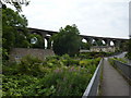 Cottage garden and viaducts