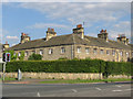 Harewood Estate houses