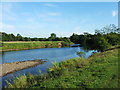 The River Ure looking downstream towards Masham