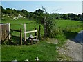 Field between Burpham and Wepham