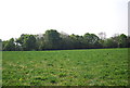 Farmland and woodland south of Marden