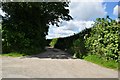 North Cornwall : Country Road