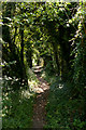 Bridleway descending Magdalen Hill