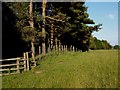 Stile leading from Limes Wood