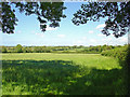 Field near Trewilym, Eglwyswrw