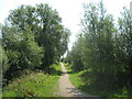 Cyclepath to Gibbet Marsh