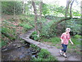 Stream crossing, Horse Hay Coppice