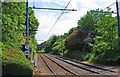 Midland Metro tramway near Priestfield tram stop, Wolverhampton