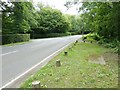 Holdfast Lane junction with the B2131 Petworth Road