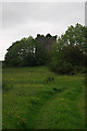 N2938 : Castles of Leinster: Donore, Westmeath (11) by Mike Searle