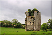 S3686 : Castles of Leinster: Gortnaclea, Laois (2) by Mike Searle