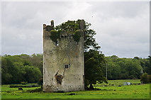 S3379 : Castles of Leinster: Grantstown, Laois (1) by Mike Searle