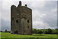 S2276 : Castles of Leinster: Ballagh, Laois by Mike Searle