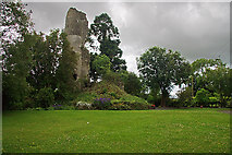 N5838 : Castles of Leinster: Castle Jordan, Meath (1) by Mike Searle