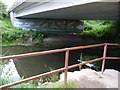 Dragonfly mural under the A49 bridge over the River Lugg near Leominster