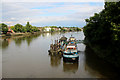 River Thames, Kew