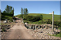 The road to Calroust Farm