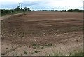 Tilled field, Wasperton