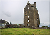 S2184 : Castles of Leinster: Garranmaconly, Laois (1) by Mike Searle