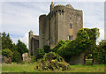 R9884 : Castles of Leinster: Emmel, Offaly (1) by Mike Searle