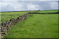 Footpath on Mire Ridge