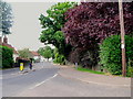 The Street, Gosfield, Essex