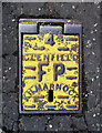 J3372 : Fire hydrant cover, Belfast by Rossographer