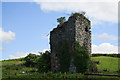 N4861 : Castles of Leinster: Taghmon, Westmeath by Mike Searle