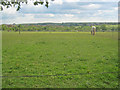 Paddocks near Bungalow Farm